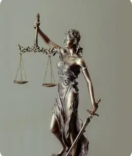 Writing & Translation